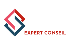 Logo expert conseil